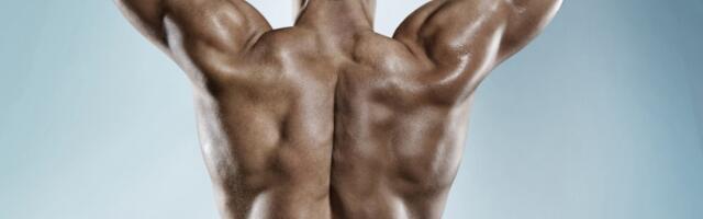 Najbolji i najžešći kućni trening za leđa