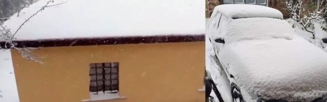 Sve se zabelelo! Sneg pada u Srbiji, hladni talas doneo i vejavicu! (FOTO/VIDEO)