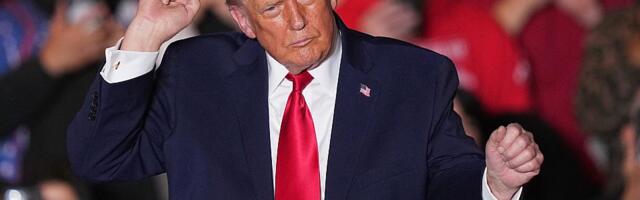 Tramp: Moja omiljena reč je "carina"