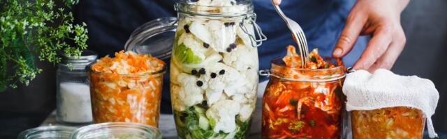 Da li biljna ishrana može da zameni suplemente probiotika i prebiotika i koliko su oni zaista potrebni