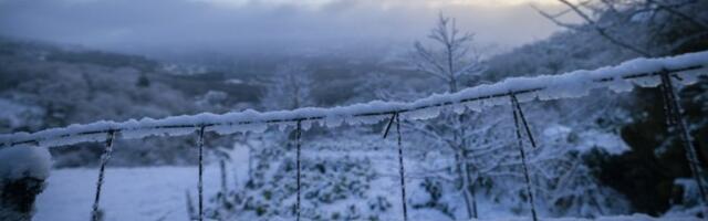 (VIDEO) U Dalmaciji pada sneg