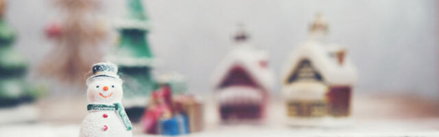 Киднапован Снешко Белић у Великој Британији