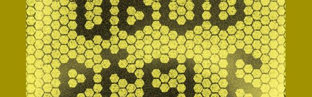 „Ubod pčele“: Pucanje po šavovima