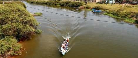 U Brazilu 7.000 kvadratnih kilometara šume iskrčeno do septembra