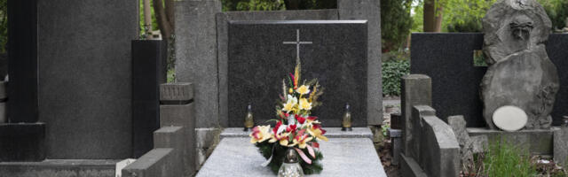 Gradi se novo groblje u Beogradu na površini od 11,5 hektara