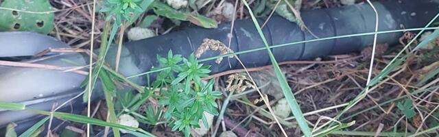 Ako vidite nešto sumnjivo odmah prijavite i nikako ne dirajte: Načelnik uputio važan apel, horor u Kosovskoj ulici!