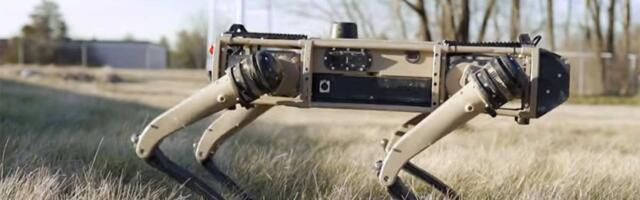 Čopor robotskih pasa čuva američku granicu