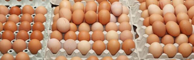 Kako da odredite koja jaja su najbolja za kuvanje i trik uz koji će lako da se ljušte