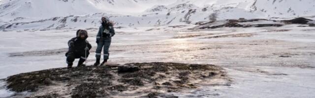 DREVNI TRAGOVI Otkriće na Arktiku, staro 770.000 godina, zapanjilo naučnike: "Ovo nismo očekivali"