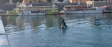 NAPADNUTI BORCI PROTIV FAŠIZMA U ZADRU! Huligani u crnom sa GLISERA gađali CRVENOM BOJOM učesnike antifašističkog marša (VIDEO)