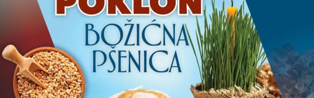 POSEJTE PRAZNIČNU RADOST: UPAKOVANA „BOŽIĆNA PŠENICA“ DANAS NA POKLON UZ KURIR