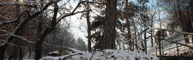 Batut upozorava: “Opasne” hladnoće u Pčinjskom, Pirotskom i Topličkom okrugu prvog i drugog januara
