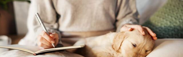 Dopušta li vaš stil života da imate ljubimca? KVIZ otkriva da li ste kandidat za psa, mačku ili - ni za koga