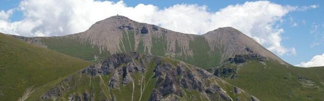 Na Šar planini u Severnoj Makedoniji kamere snimile dva nova balkanska risa