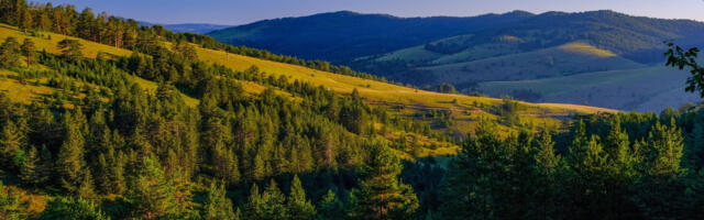 Zlatibor odmah iza Beograda: Od početka godine privukao više od 193.000 turista