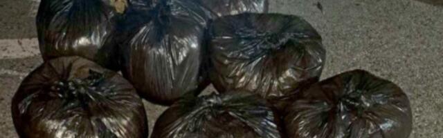 Nišlijka (43) švercovala duvan! Pala sa 275 kilograma! (FOTO)