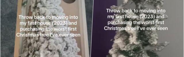 "Ljudi, je li ovo neka šala?!" Kupio novogodišnju jelku, a kad je otvorio kutiju, nije mogao da veruje šta vidi (VIDEO)