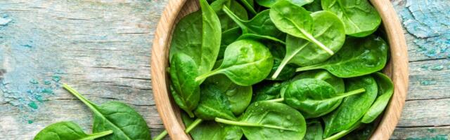 Lagan obrok: Salata od spanaća i šećerca