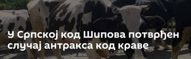 У Српској код Шипова потврђен случај антракса код краве