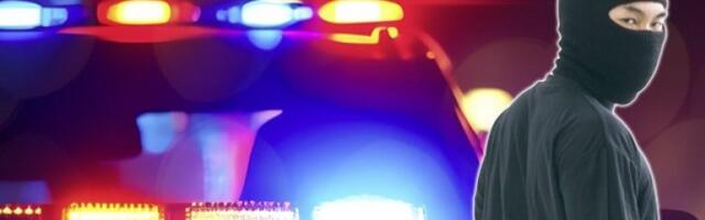 Pohapšena "dečija banda" u Beogradu: Najmlađi imaju 12 godina