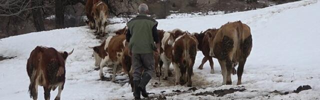 Borko iz Erčega kod Ivanjici živi sam u planini daleko od ljudi: Evo ko ga posećuje umesto komšija
