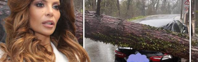 Potpuno uništeno dvorište Nikoline Pišek, drvo palo na auto: Oglasila se uplašena zbog stanja u Zagrebu