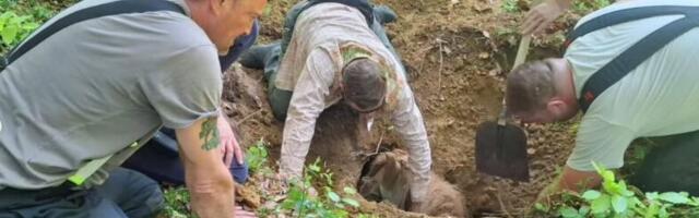 OTVORILA SE ZEMLJA I "PROGUTALA" KOBILU TEŠKU POLA TONE! Ostala ZAROBLJENA, vatrogasci u teškom poduhvatu izveli akciju veka: "Neko se šali..." (FOTO)