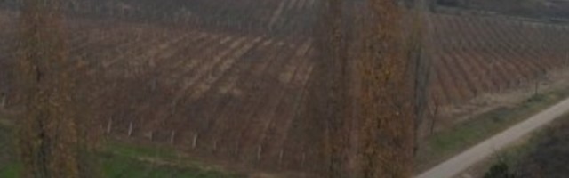 Pravi se po recepturama predaka, a sa kraljevom etiketom obišlo je čitav svet! (FOTO)