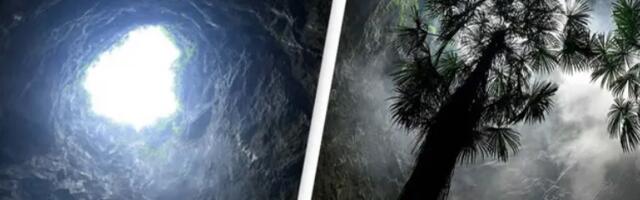 Naučnici slučajno otkrili pećinsku prašumu sa nepoznatim vrstama u Kini