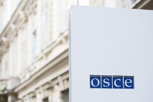 Почиње заседање Парламентарне скупштине ОЕБС-а, учествује руска делегација