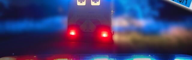 NABIJAO KAMATI, PA UHAPŠEN ZA ZELENAŠTVO! Podgorička policija govori da mu nije prvi put!