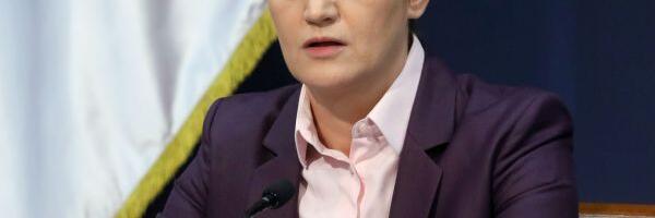 Brnabić: Preplatićemo NIS ako treba, ali ga nećemo nacionalizovati