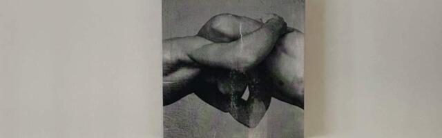 „Zimske priče“ u June Cafe: Nova izložba u saradnji sa beogradskom galerijom “non canonico”