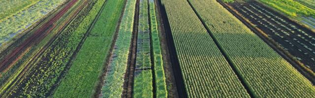 Odbor za poljoprivredu podržao nacrt strategije za razvoj poljoprivrede do 2034. godine