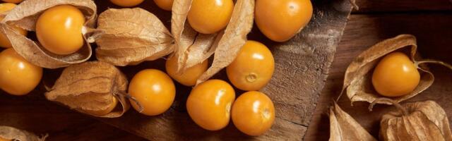 Zlatne jagode, "zlatna koka" za poljoprivrednike: Ovo voće sve popularnije, a cena je paprena