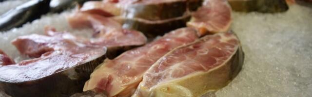 DONEO ODLUKU DA GODINU DANA JEDE SAMO RIBU: Kad je otišao na pregled, zaprepastio se i on i lekar, ostali NEMI!