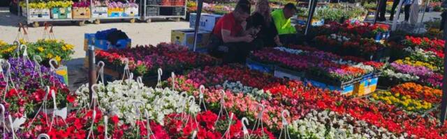 Otvoren SAJAM HORTIKULTURE: Sve za dvorišta i bašte po SAJAMSKIM CENAMA na platou Šumadija sajma (FOTO)