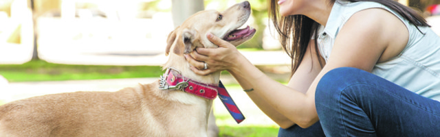 Kome pripada ljubimac nakon razvoda?