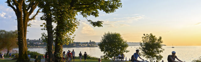 Zašto nas Vučić ipak neće zaključati posle izbora