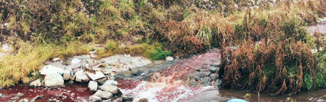Novi Pazar: Otkrivene dvije nelegalne klanice koje su ispuštali krv u rijeke