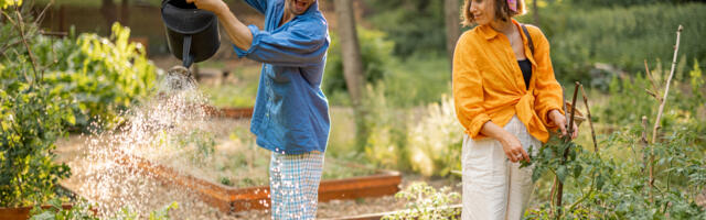 Zaštita i održavanje vrta tokom vrelih letnjih dana