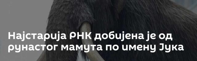 Најстарија РНК добијена је од рунастог мамута по имену Јука