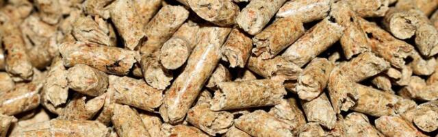 Rekordne cene peleta: Na nekim stovarištima i 46.000 dinara tona