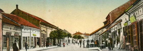 „Putovanje“ nekadašnjim leskovačkim sokacima i ulicama kroz izložbu „Stari Leskovac“