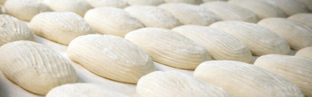 Пекарски занат више није исти: аутоматизација, обуке и раст плата у индустрији