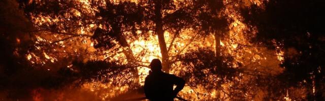 Vatra progutala kuću: Dve osobe stradale