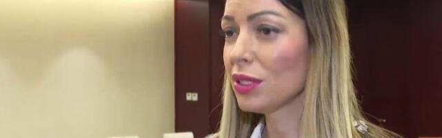 Месаровићева: Уводимо авио-карго линије из кинеских провинција ка Нишу