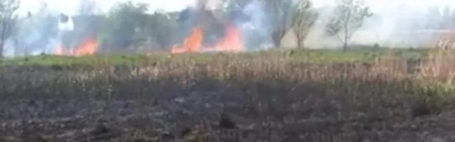 PREKINUTI STRUJNI VOD ZAPALIO TRAVU! Zbog olujnog vetra u Šatornji izbio požar, vatrogasci nadomak kuća ZAUSTAVILI VATRENU STIHIJU!