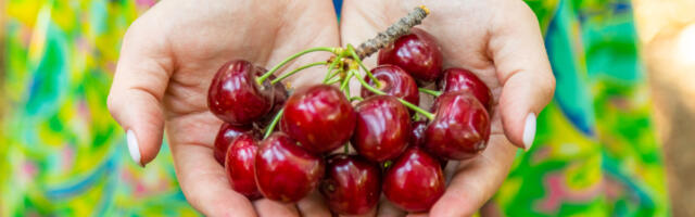 Trešnje: sjajan saveznik za topljenje kilograma