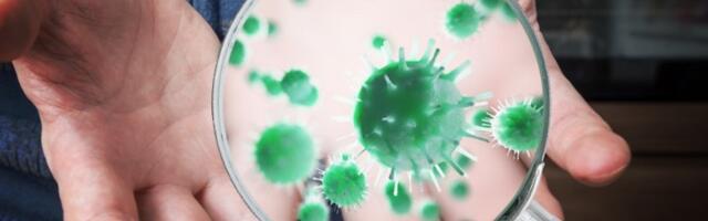 Srbijom hara OVAJ virus, zaražene cele porodice
